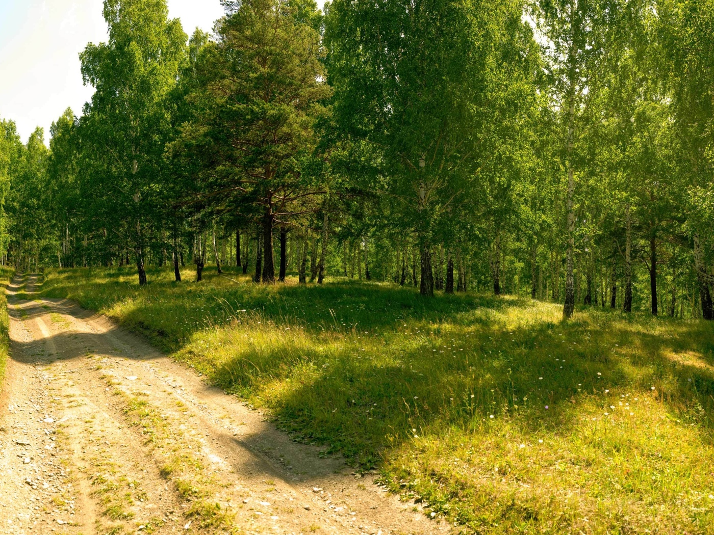 Вдоль лесной. Лесная грунтовая дорога летом. Пейзаж лесополоса. Проселочная дорога через лес. Картинки на рабочий стол лето лес.